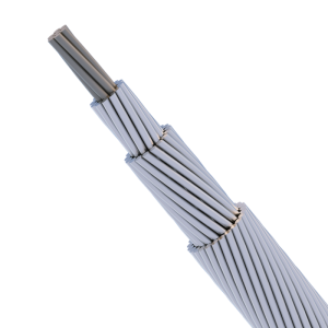 Aluminum Conductor Steel Reinforced (ACSR)